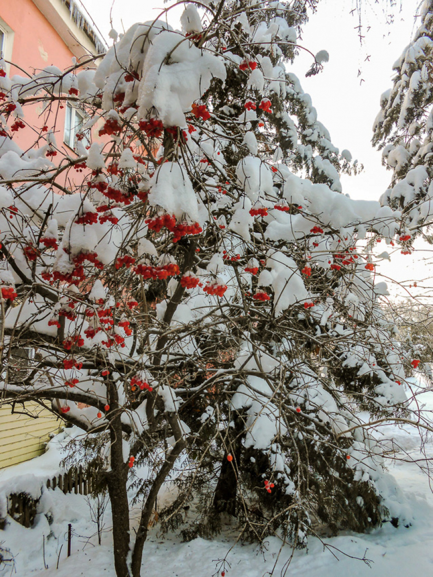 Девять многоквартирных домов отключают энергетики от электричества сегодня, 3 февраля, в Камышине
