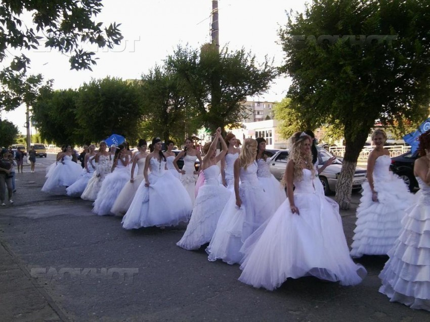 Инициативная группа приступила к подготовке парада «белых платьев» в Камышине - городе невест