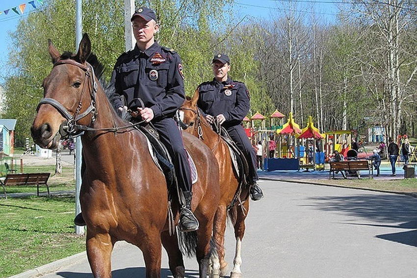 В праздники полицейские на лошадях будут патрулировать места гуляний и отдыха в Камышине