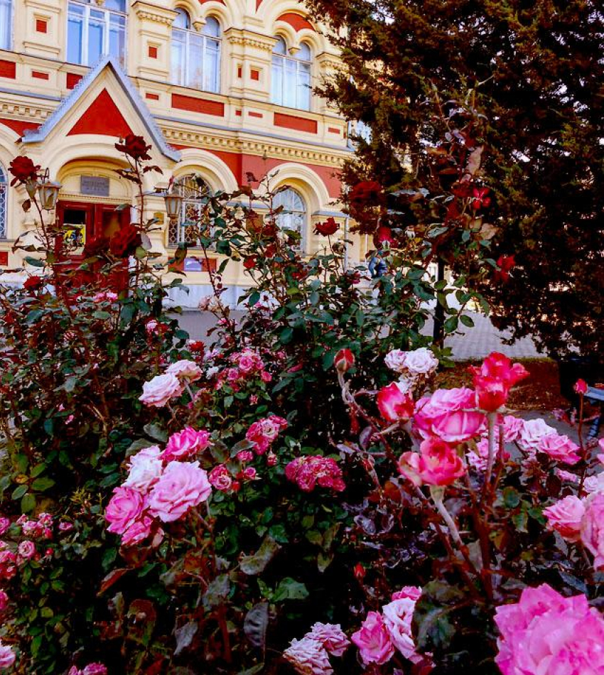 Солнечно и без осадков: погода в Камышине 13 октября