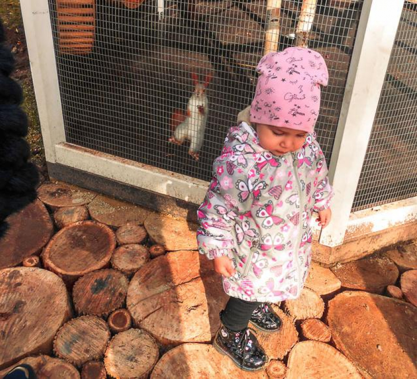 Камышанам выплачивают региональный материнский капитал - на какого по счету ребенка и какую сумму?