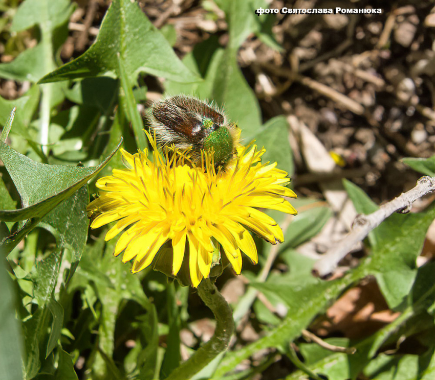 Облака, переменчивый ветер и +16: погода на вторник 18 апреля в Камышине