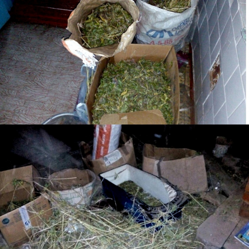 Полтора килограмма марихуаны он хранил у себя в доме: в Волгоградской области полицейские задержали подозреваемого 