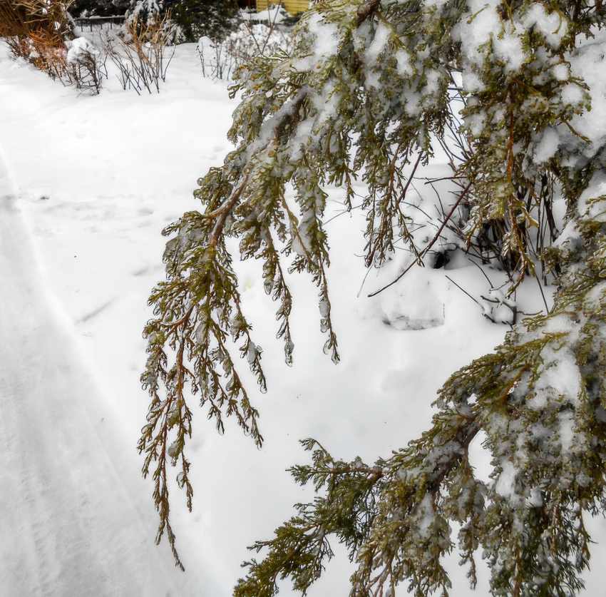 Целого состояния лишилась пенсионерка из Палласовки под давлением мошенников