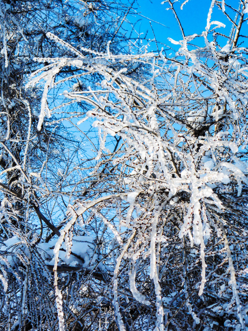 В Камышин пришли крещенские морозы