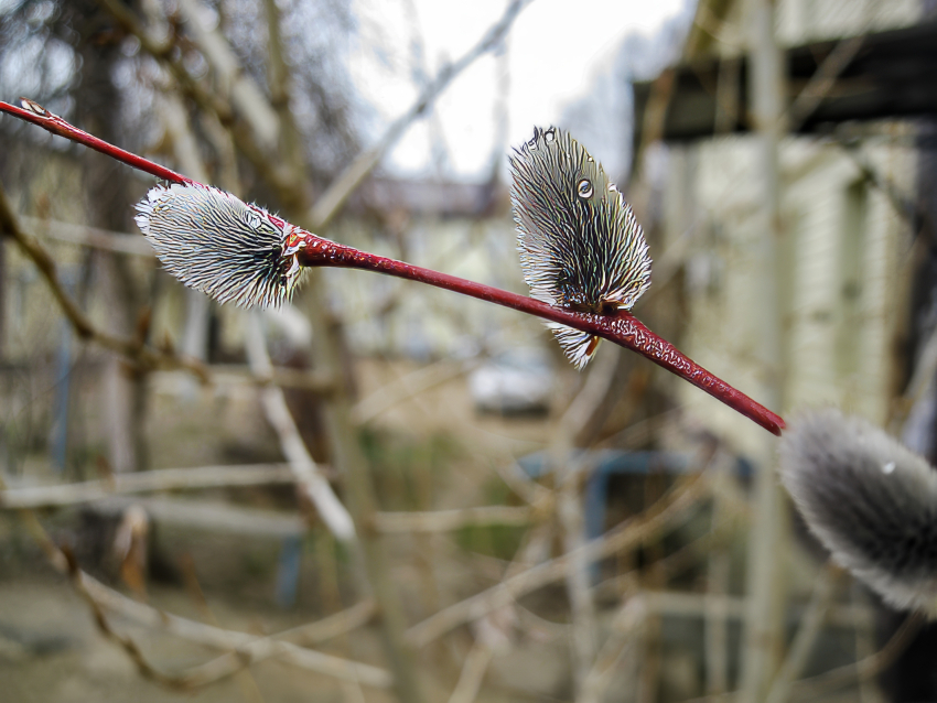 "Плюс» будет нарастать: погода в Камышине на 27 марта
