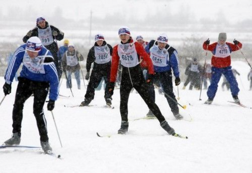 Всероссийская гонка «Лыжня России» пройдет в питомнике Камышина
