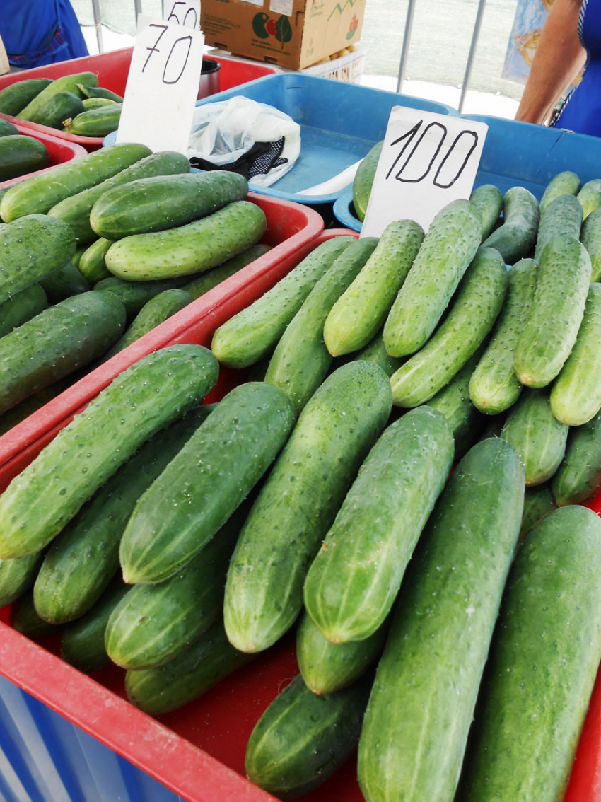 В Камышине малосольные огурцы «решили» не дешеветь этим летом