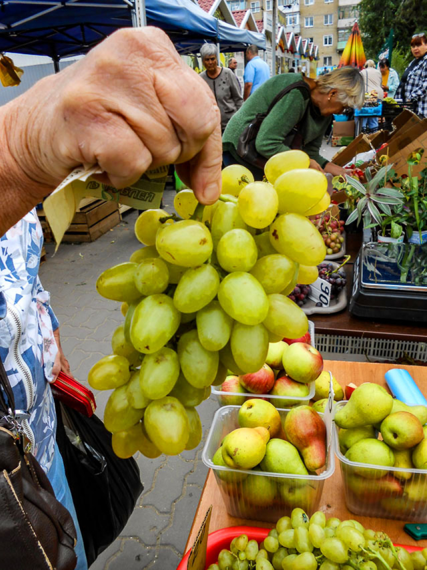 В Камышине виноград подешевел до 130 рублей за килограмм