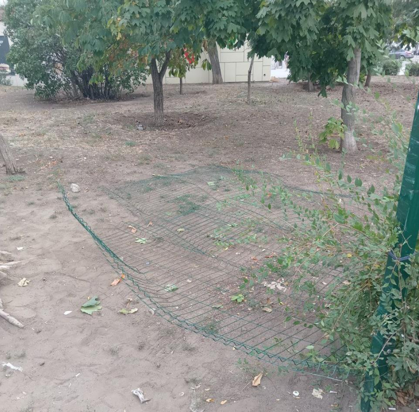 В Камышине чиновники каждый день пишут, что произошло в мире, - лучше пишите свой отчёт о работе за день! - камышанка