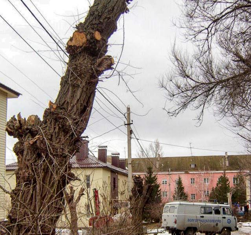 Какие многоэтажки примут завтра, 12 марта, «эстафету» отключений электричества в Камышине?