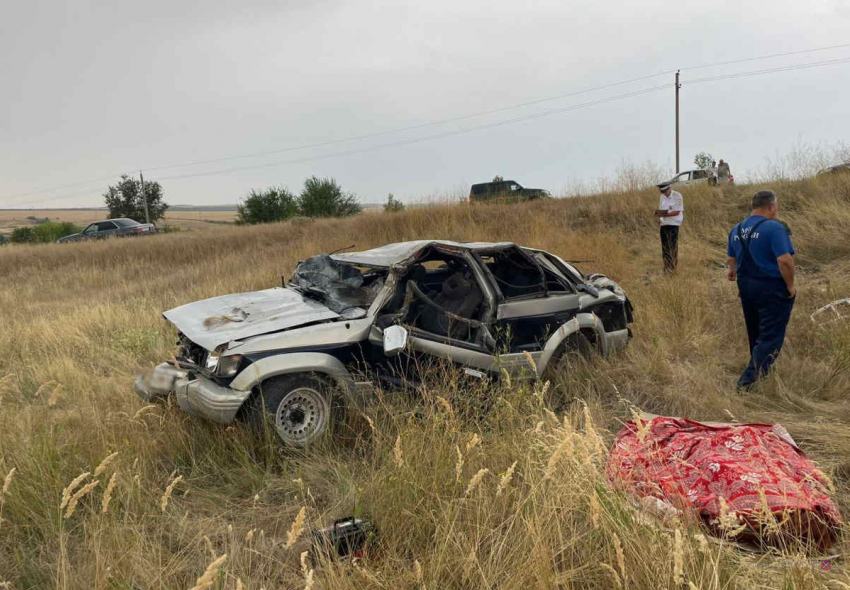 На сельской дороге женщина «ни с того, ни с сего» погибла в смятой иномарке в Волгоградской области