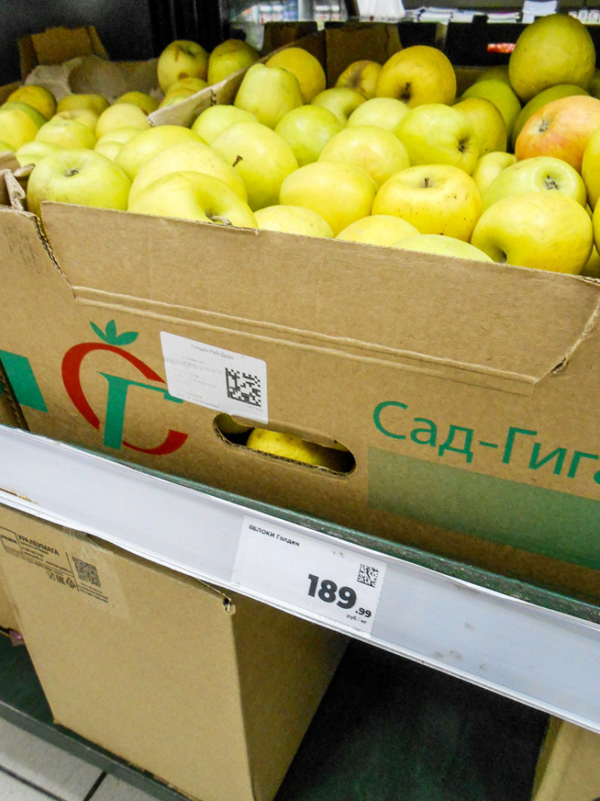 В Камышине ценник на обычные яблоки в сетевиках близок к 200 рублям за килограмм