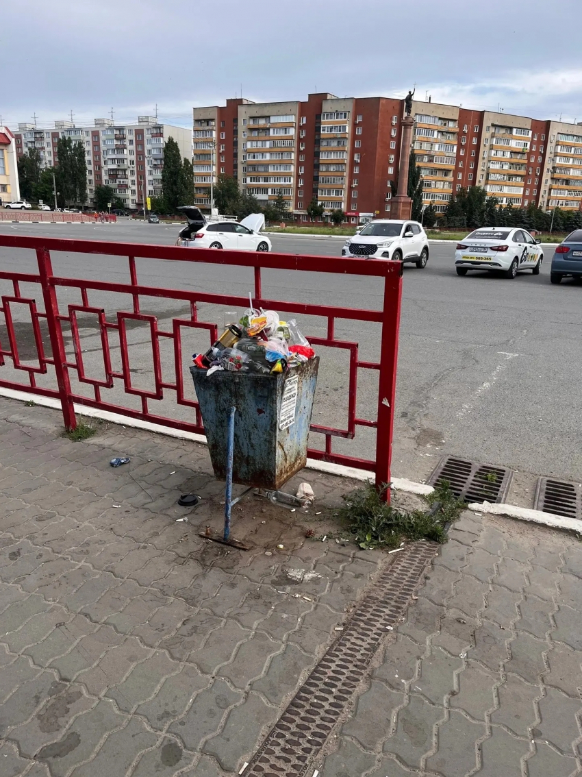 Урны Камышина забиты через край, сколько нам еще ждать вывоза мусора?