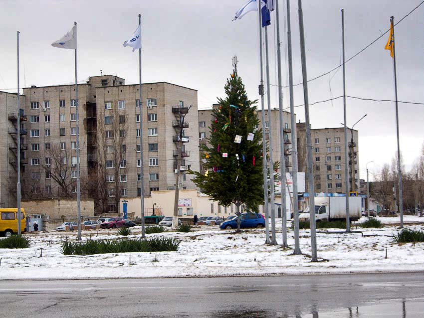 В Камышине установили елку на площади Героя России Александра Колгатина