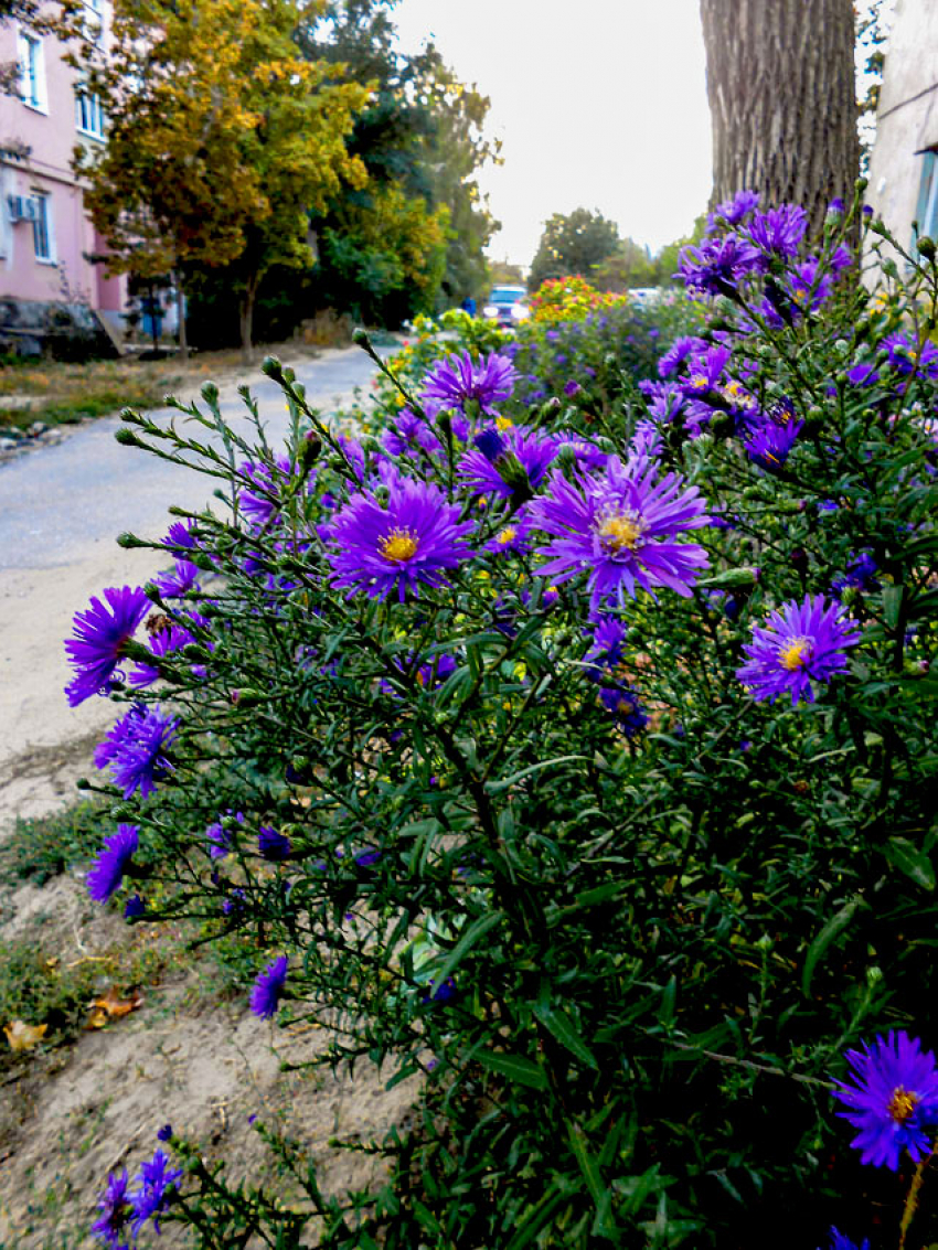 Стало известно, где в Камышине будут отключать свет завтра, 10 сентября