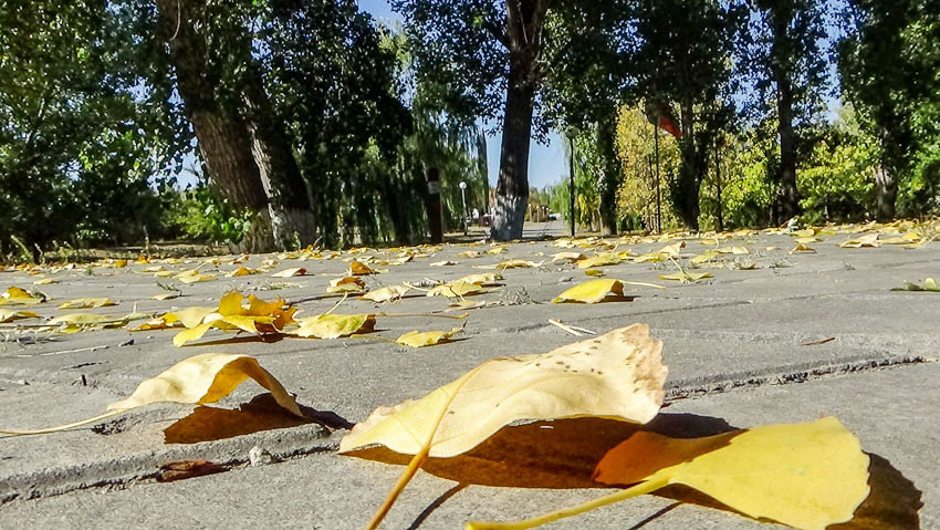 В Камышине после жары резко повеяло поздней осенью
