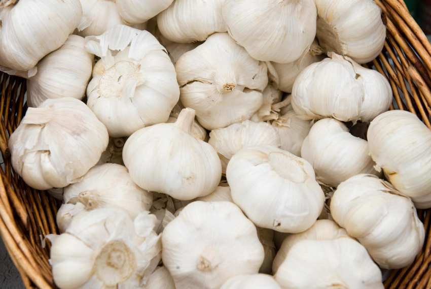 Камышане стали предпочитать местным чесноку и морковке китайские, - продавец с центрального рынка Камышина