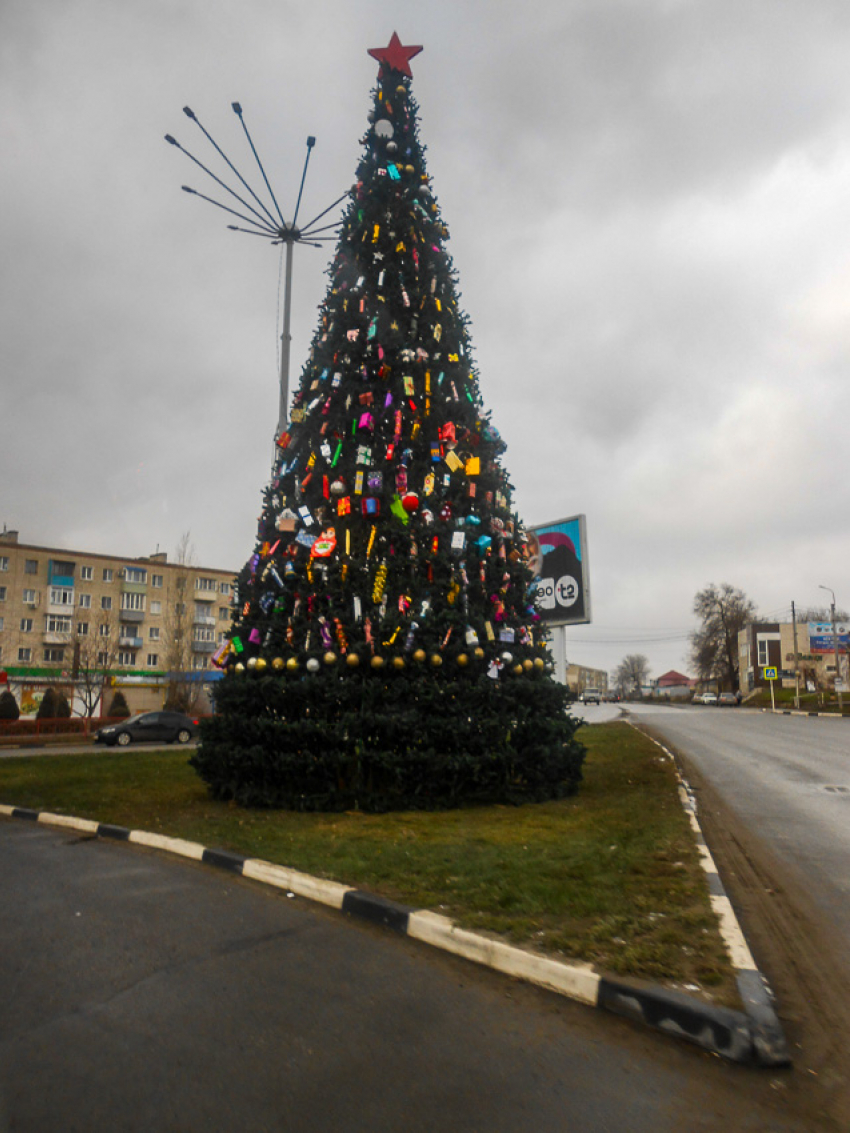 В Камышине «ввели в строй» главную городскую елку