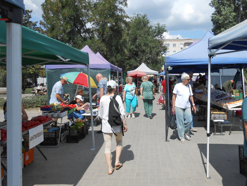 Камышан вновь номинально порадовали новостью о росте средней зарплаты