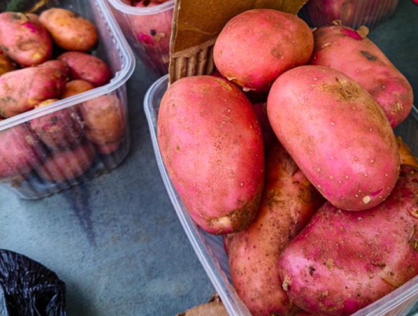 В Камышине стартовали продажи картошки на зиму: цены «кусачие"