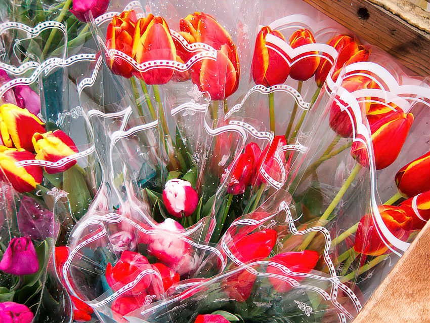 Почему в Волгоградской области больше половины мужчин отказались покупать цветы к 8 Марта