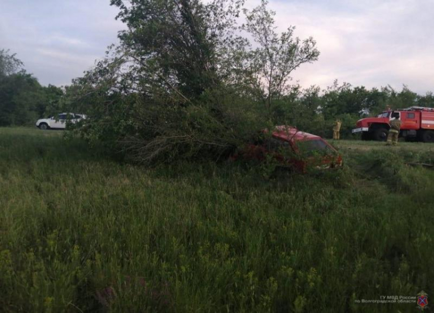 Водитель без прав врезался в дерево, сам разбился насмерть и убил свою пассажирку