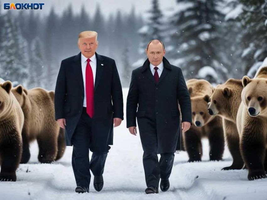 Последняя интрига Аляски: США поставили жесткий ультиматум Зеленскому — судьба главаря Украины предрешена