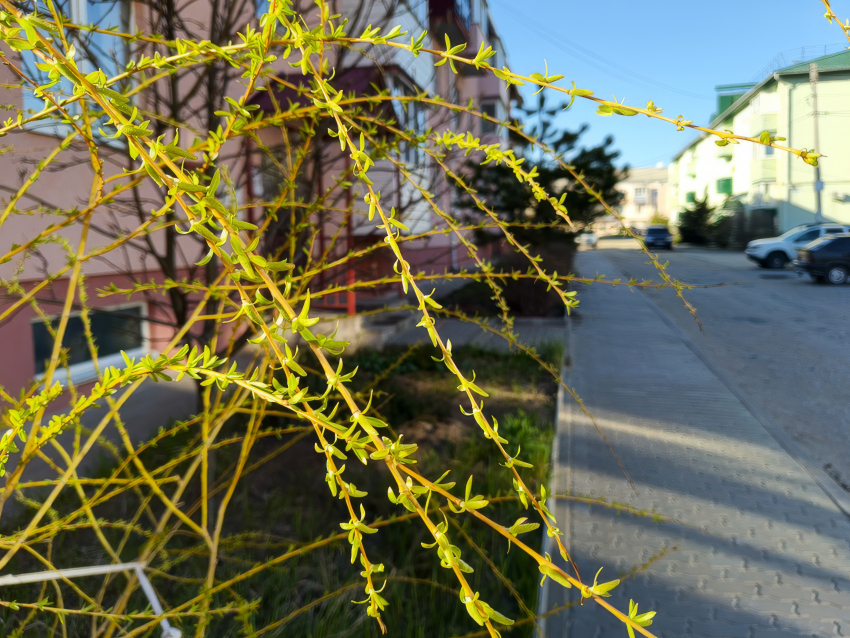 Западный ветер «надует» холодный дождь в Камышине, но он пойдет не сегодня, а завтра