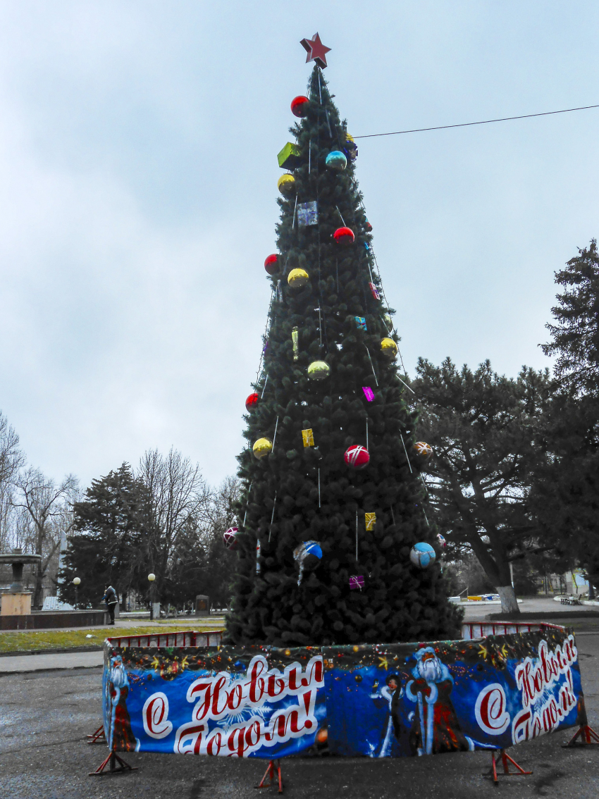 В Камышине нарядили елку в парке Комсомольцев-добровольцев