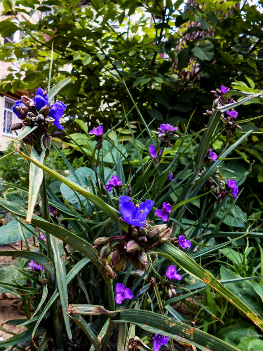 Солнце и +28: погода в Камышине 4 июля