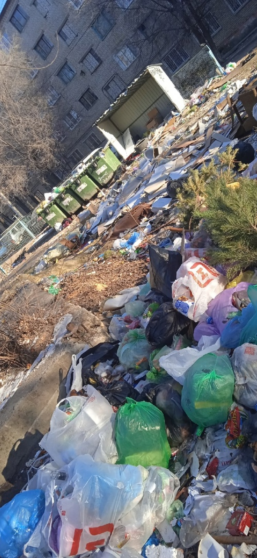 Камышане в соцсетях предложили объявить народный сход по вопросам мусора, его транспортировки к дому мэра и бродячих собак