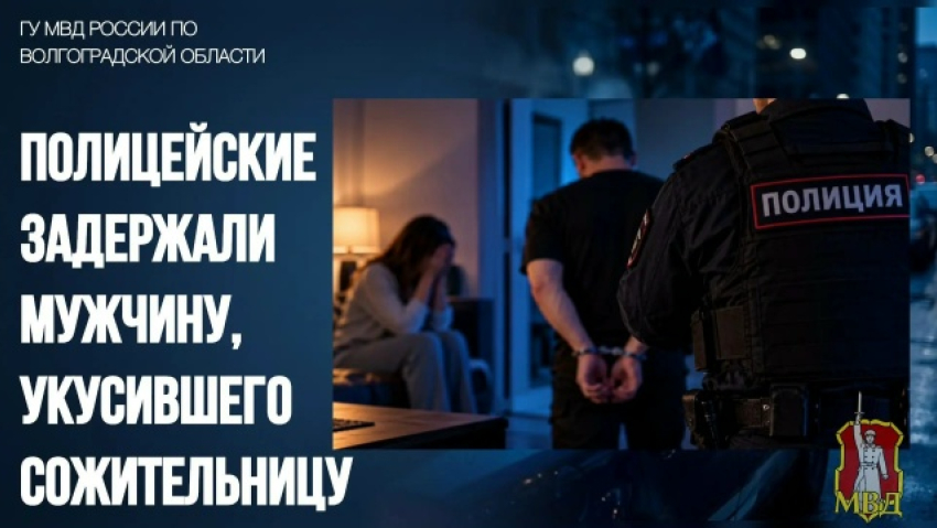 В Волжском пылкий любовник откусил сожительнице нос
