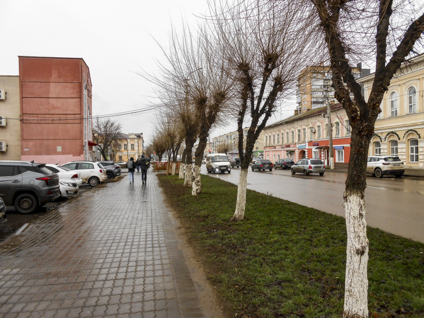 В Волгоградской области объявили штормовое предупреждение из-за снега и ветра до 28 метров в секунду