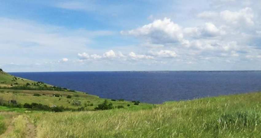Камышан зовут на песенный фестиваль на берегу Волги сегодня, 4 июля