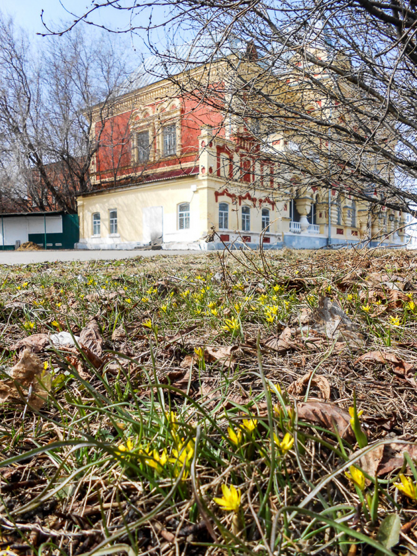 Солнечно, тепло и небольшой дождь: погода в Камышине в последние дни марта