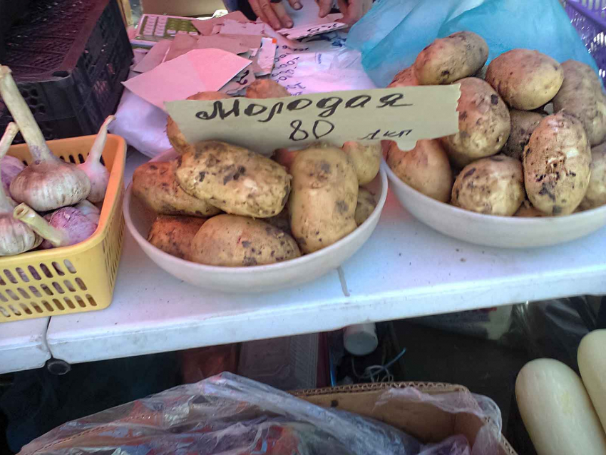 В Камышине продают молодую картошку с неизвестной «родословной"