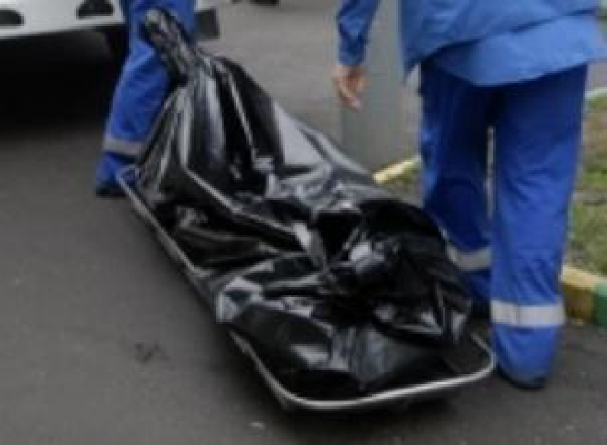На дороге Камышин-Ольховка - Иловля после лобового столкновения водитель скончался на месте