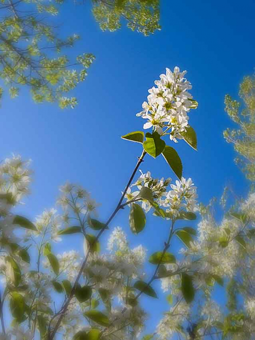 Солнцем и нарастанием тепла до +21 порадует камышан конец праздничной недели