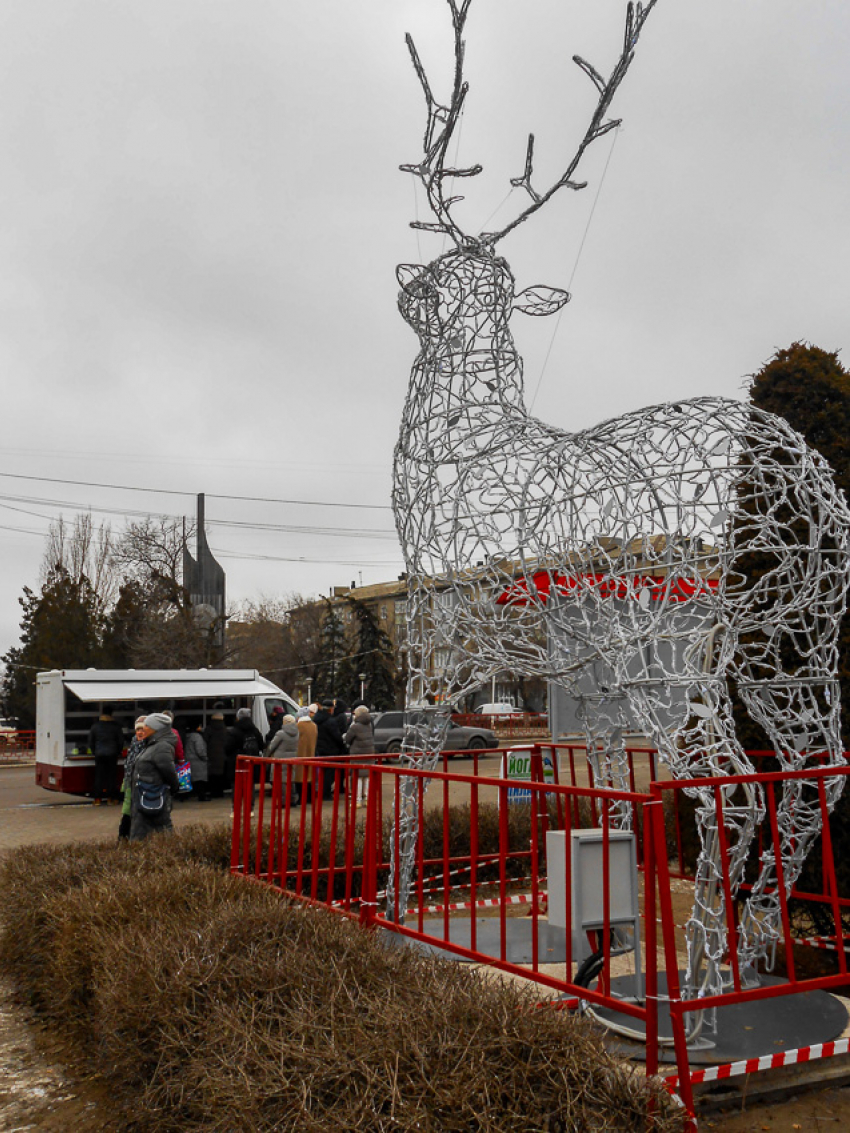 Морозы с жестким ветром возвращаются в Камышин