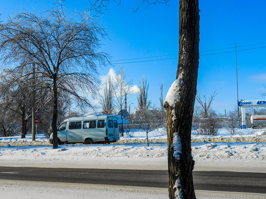 В Камышине утратили силу постановления Станислава Зинченко о «прикреплении» детей к школам и детсадам и о бесплатном проезде для школьников