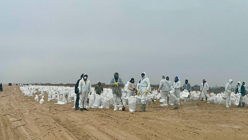 Жителей Волгоградской области зовут на мазутную битву на Черном море 