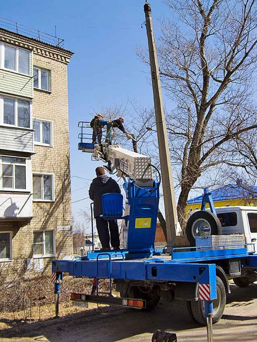 Коммунальщики Камышина объявили, где они отключают свет 20 апреля для обрезки деревьев