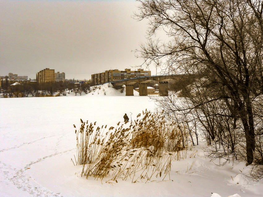  В Камышине погода устроит «репетицию» весны 16 февраля