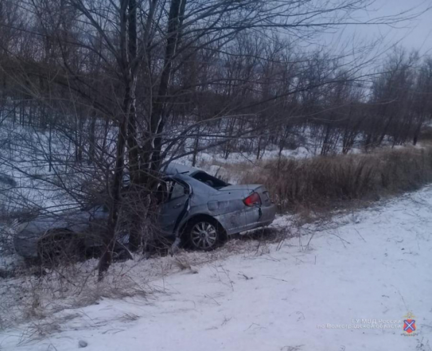 Водитель иномарки врезался в дерево и попал на операционный стол