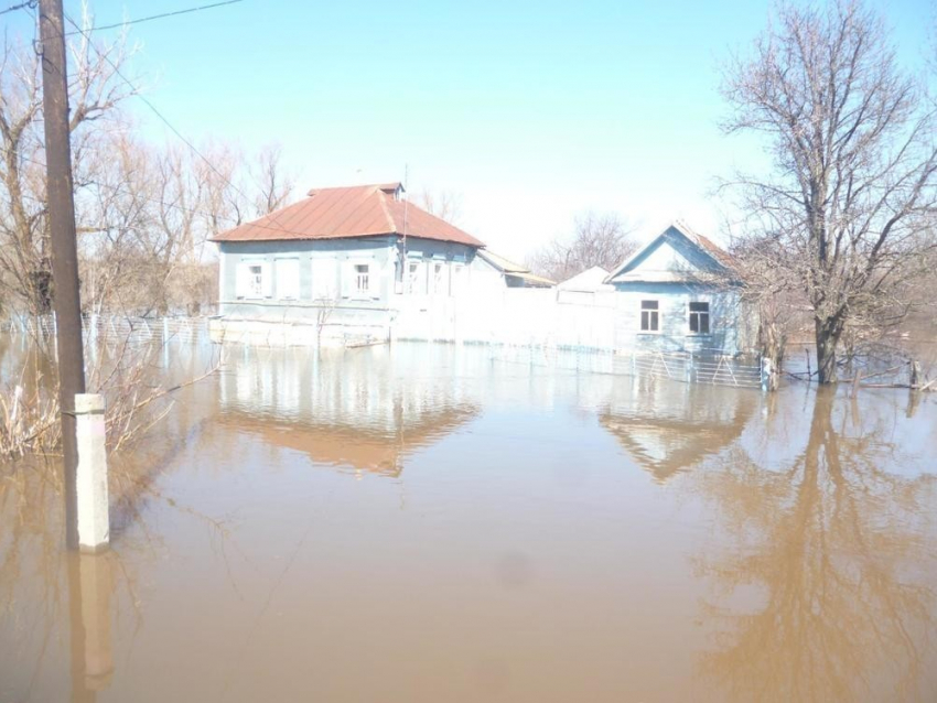 Иловля, протекающая и в Камышинском районе, возглавила список рек,  которые несут риски во время паводка