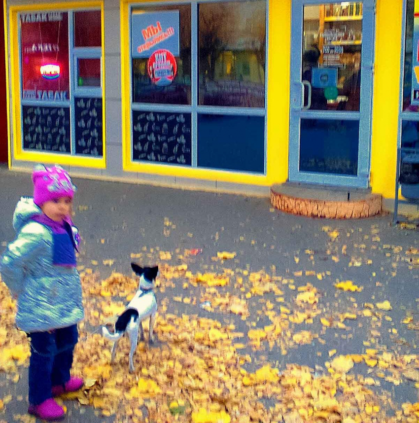 Почему в Камышине воспитатели детсадов работают за дворников? - камышанка