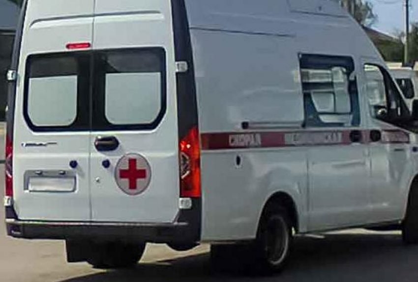 В Волгоградской области в Заволжье спасали девочку, которую укусила гадюка