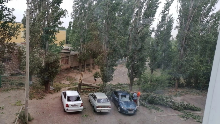 Камышане показали в соцсетях последствия штормового ветра в городе: рухнувшие деревья перекрыли проезды и повредили машины