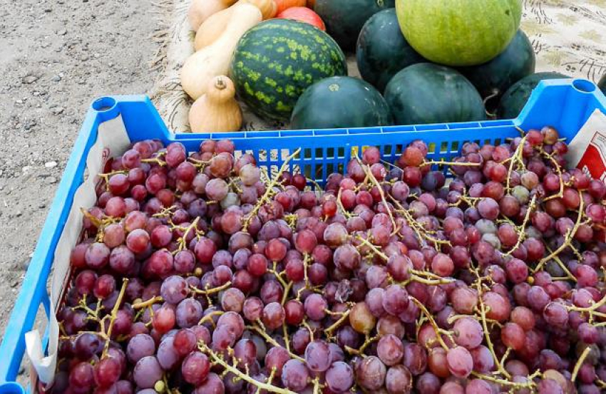 Где в Камышине можно по дешевке купить виноград